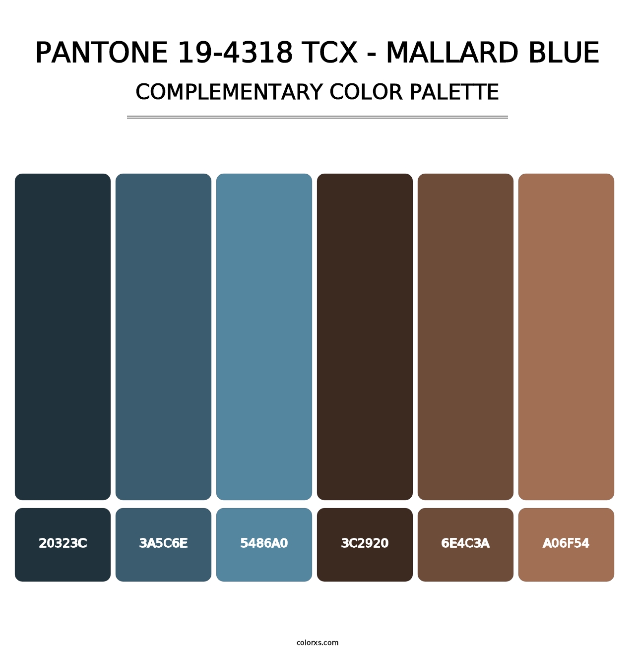 PANTONE 19-4318 TCX - Mallard Blue - Complementary Color Palette