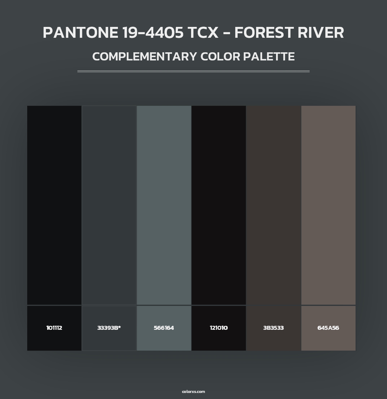 PANTONE 19-4405 TCX - Forest River - Complementary Color Palette