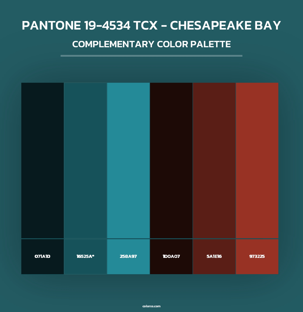 PANTONE 19-4534 TCX - Chesapeake Bay - Complementary Color Palette