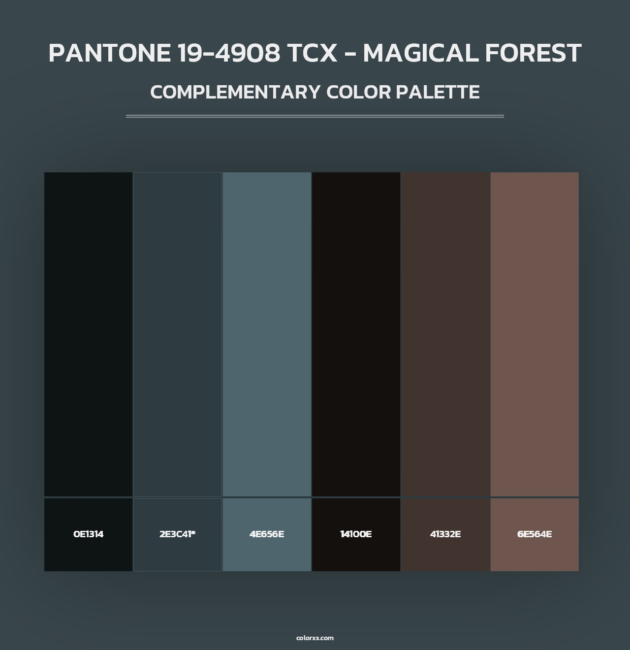 PANTONE 19-4908 TCX - Magical Forest - Complementary Color Palette