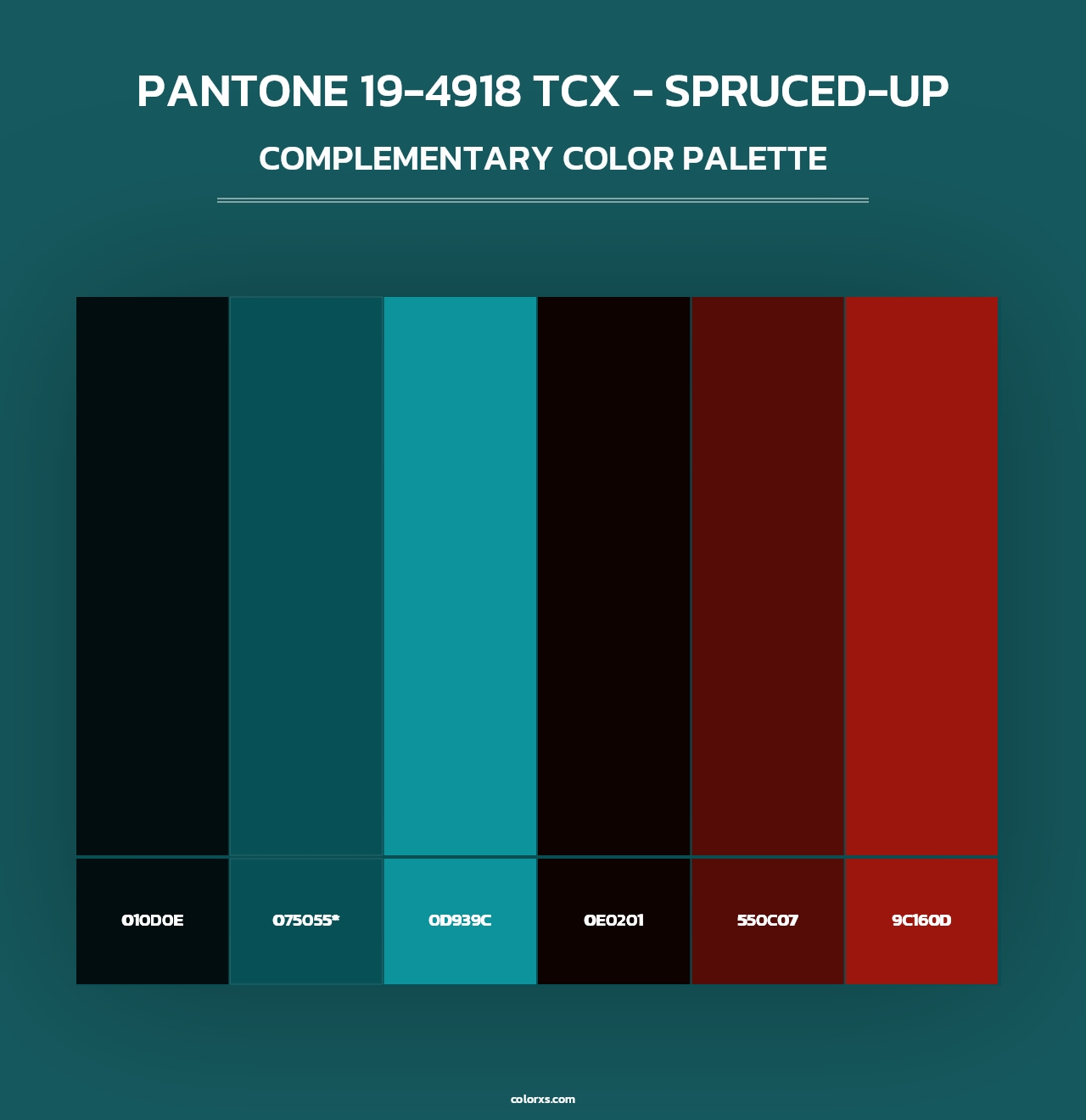PANTONE 19-4918 TCX - Spruced-up - Complementary Color Palette