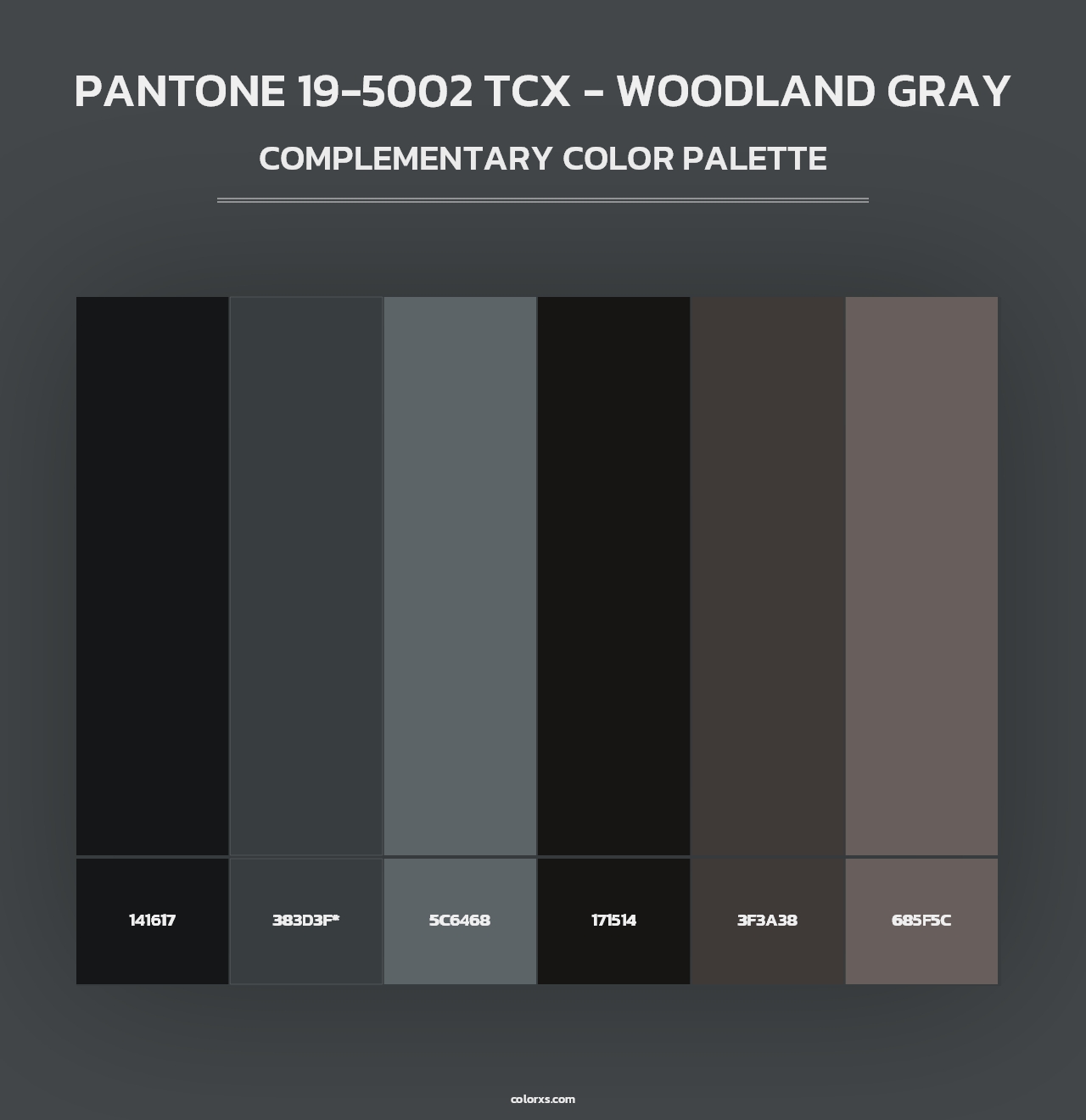 PANTONE 19-5002 TCX - Woodland Gray - Complementary Color Palette