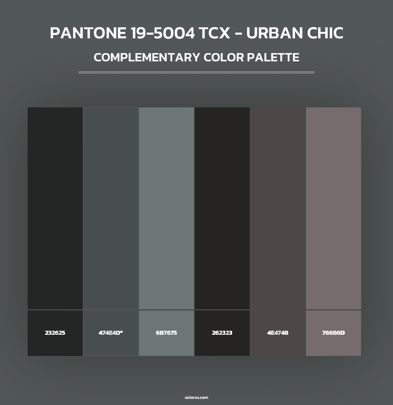 PANTONE 19-5004 TCX - Urban Chic - Complementary Color Palette