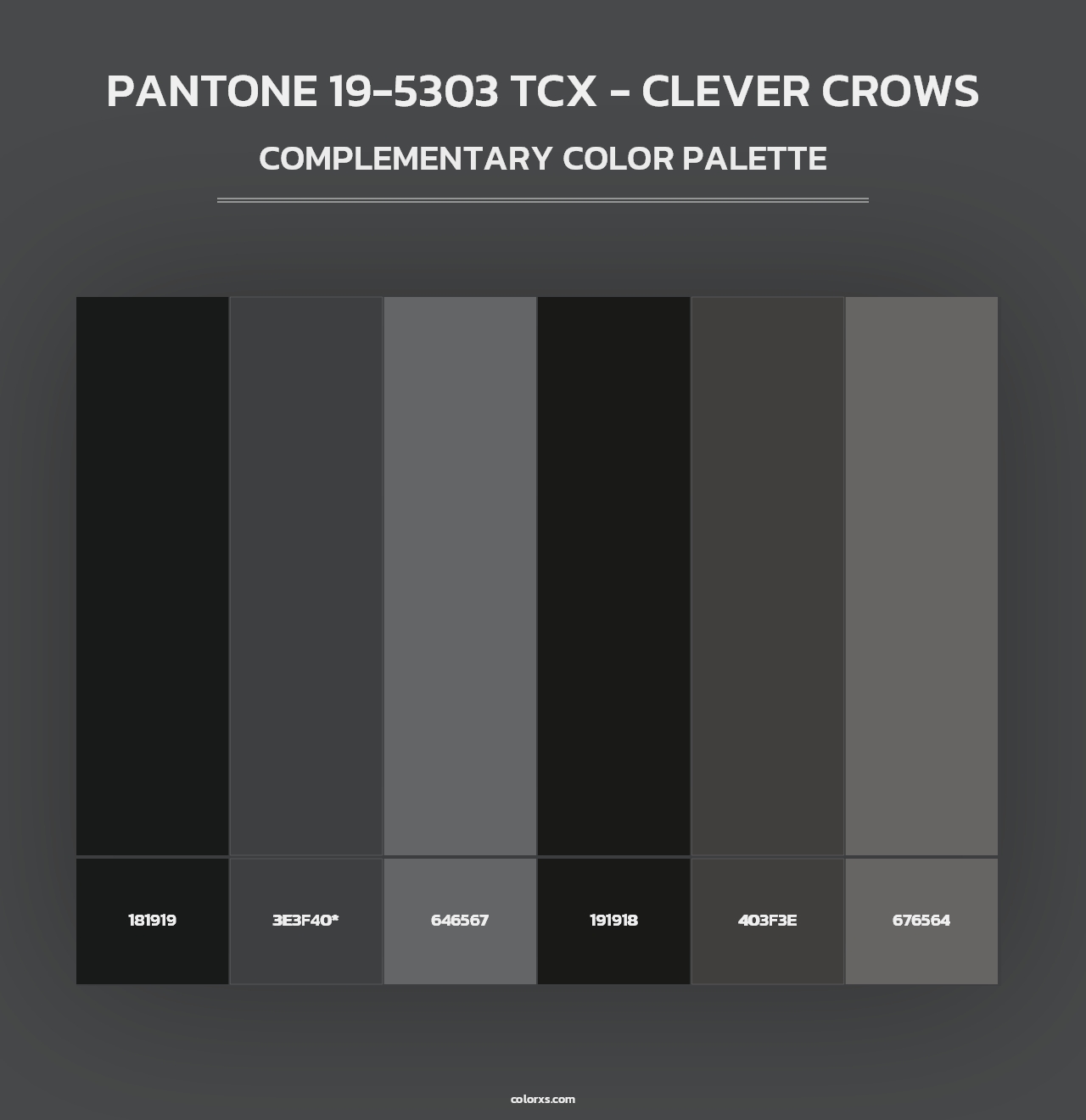 PANTONE 19-5303 TCX - Clever Crows - Complementary Color Palette