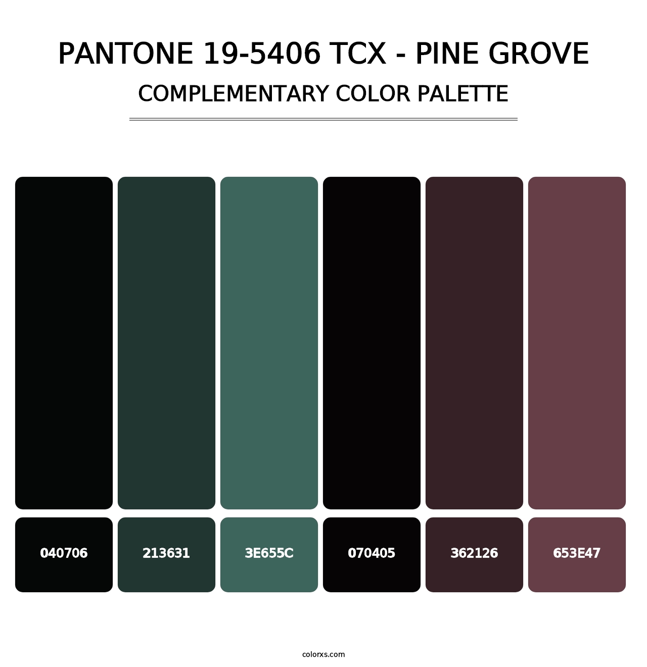 PANTONE 19-5406 TCX - Pine Grove - Complementary Color Palette