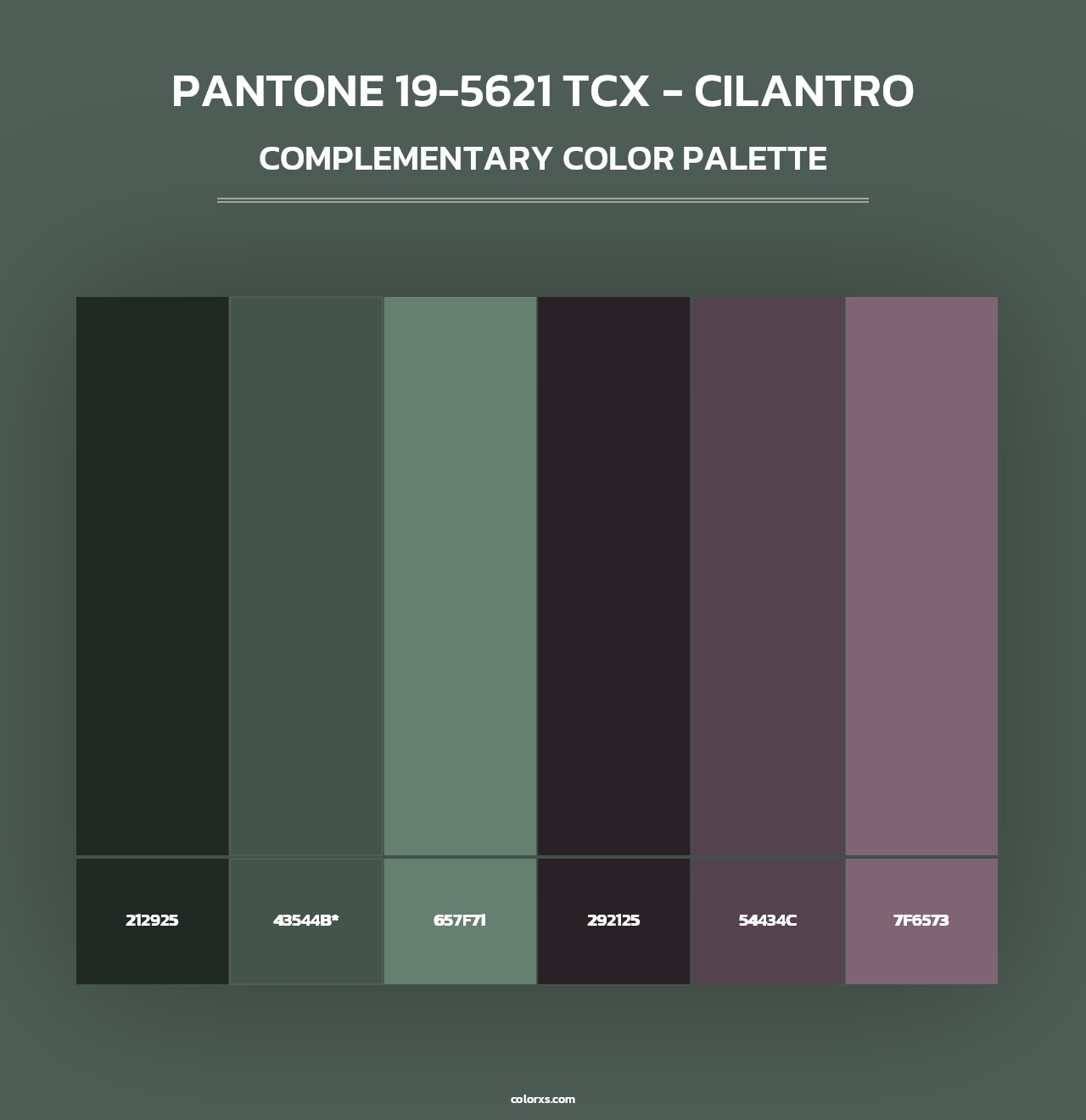 PANTONE 19-5621 TCX - Cilantro - Complementary Color Palette