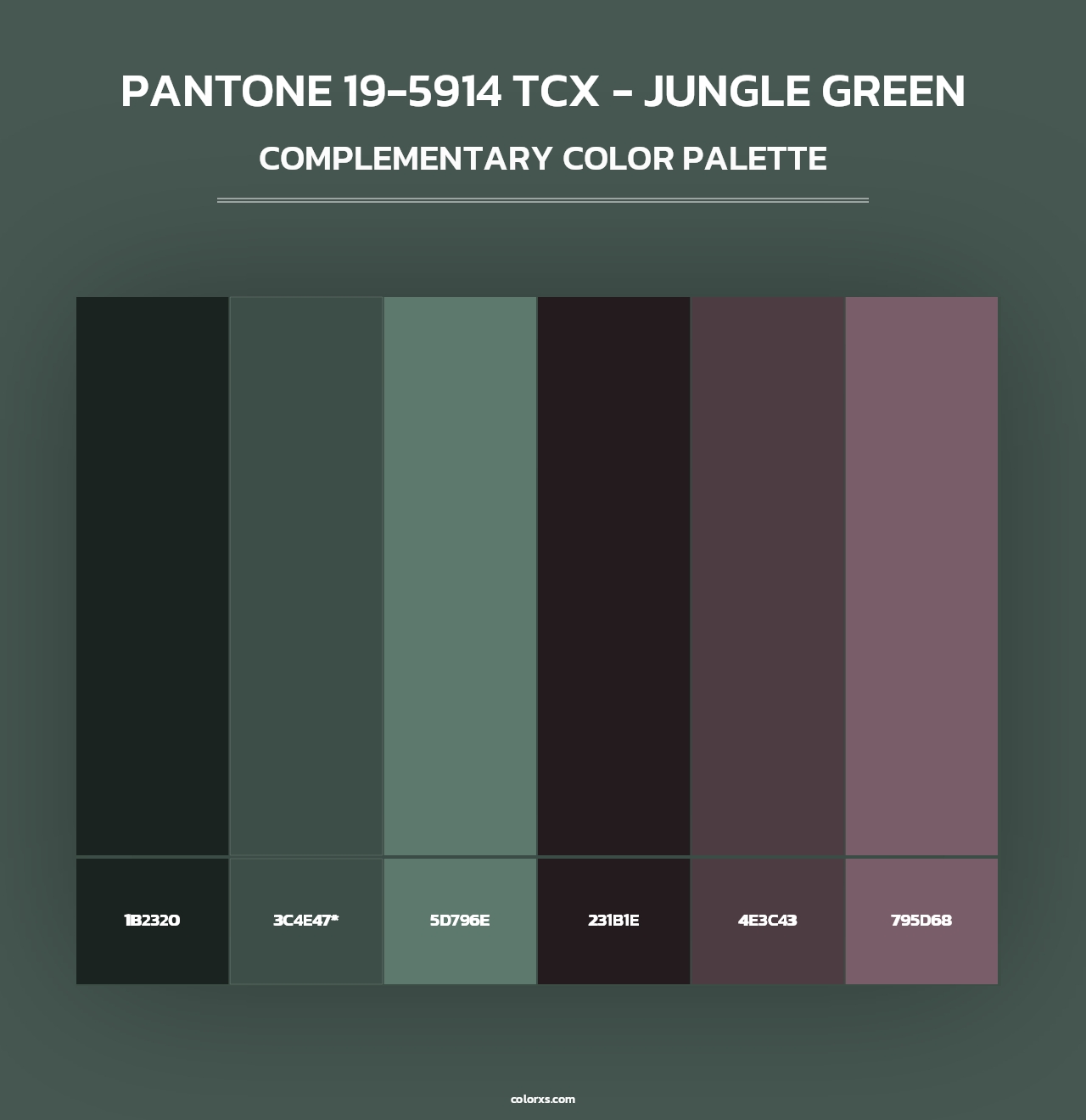 PANTONE 19-5914 TCX - Jungle Green - Complementary Color Palette