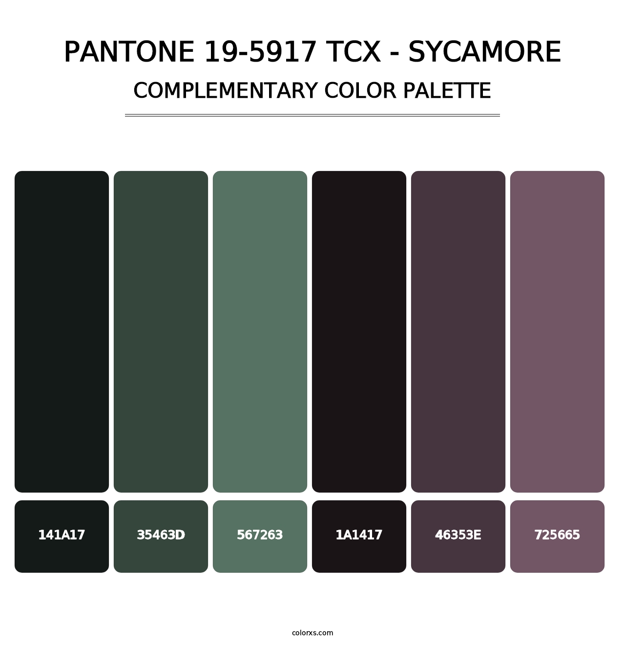 PANTONE 19-5917 TCX - Sycamore - Complementary Color Palette