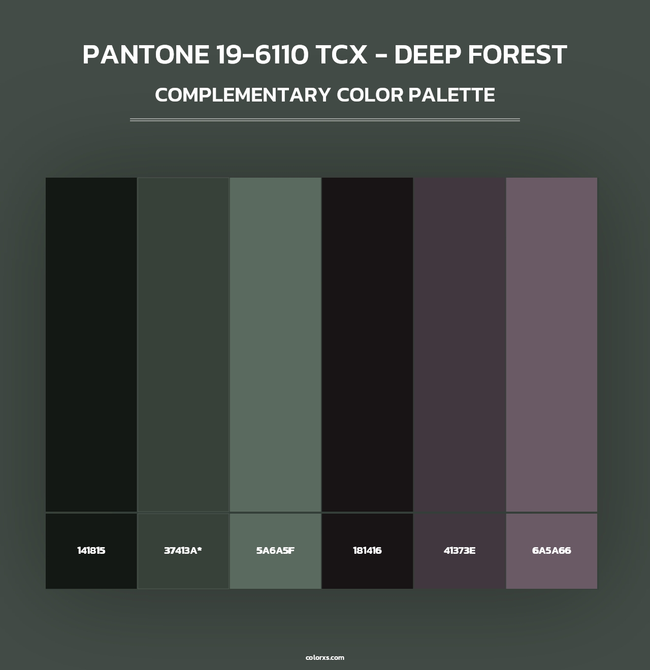 PANTONE 19-6110 TCX - Deep Forest - Complementary Color Palette
