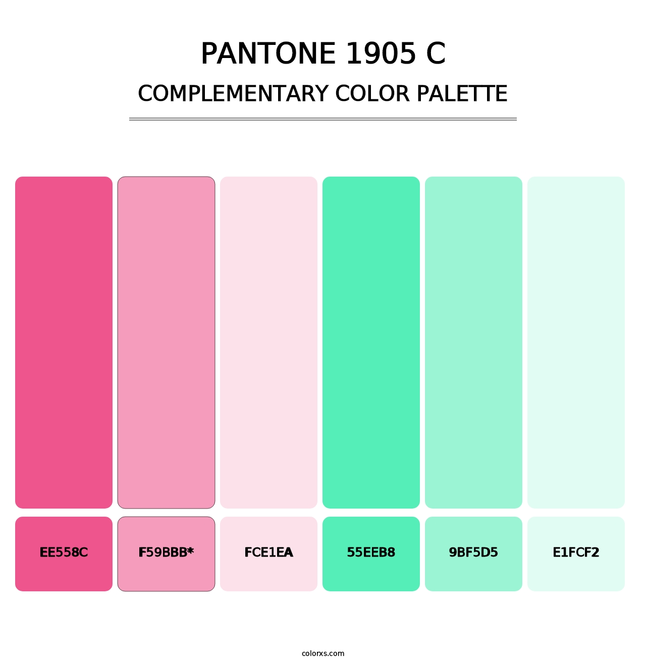 PANTONE 1905 C - Complementary Color Palette