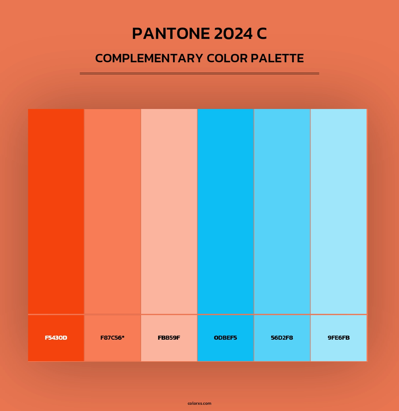 PANTONE 2024 C - Complementary Color Palette