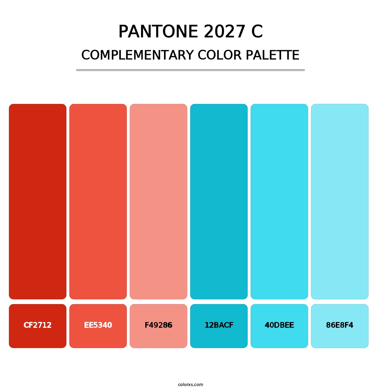 PANTONE 2027 C - Complementary Color Palette
