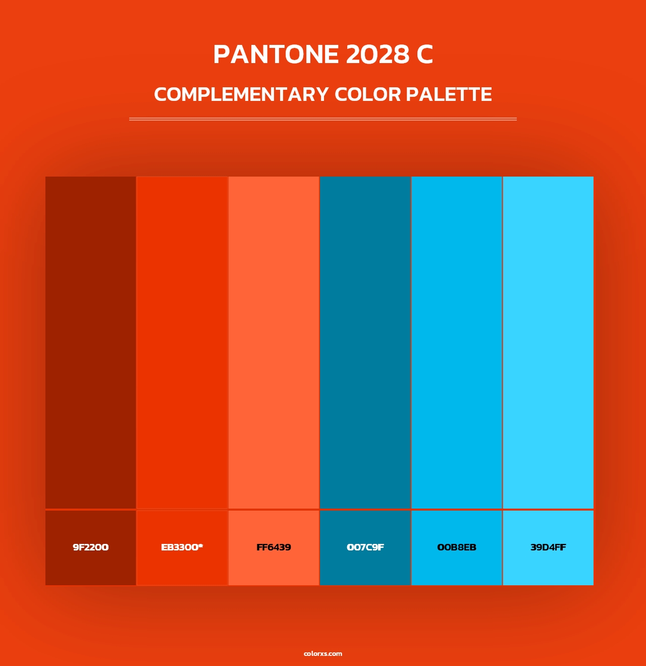 PANTONE 2028 C - Complementary Color Palette