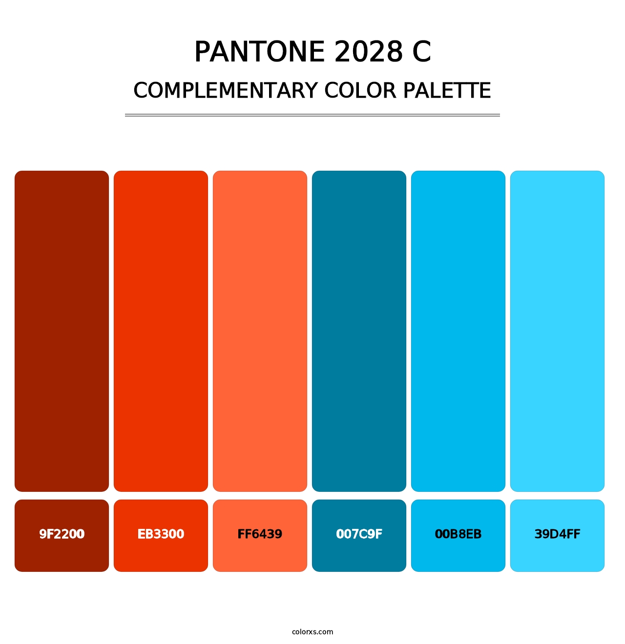 PANTONE 2028 C - Complementary Color Palette
