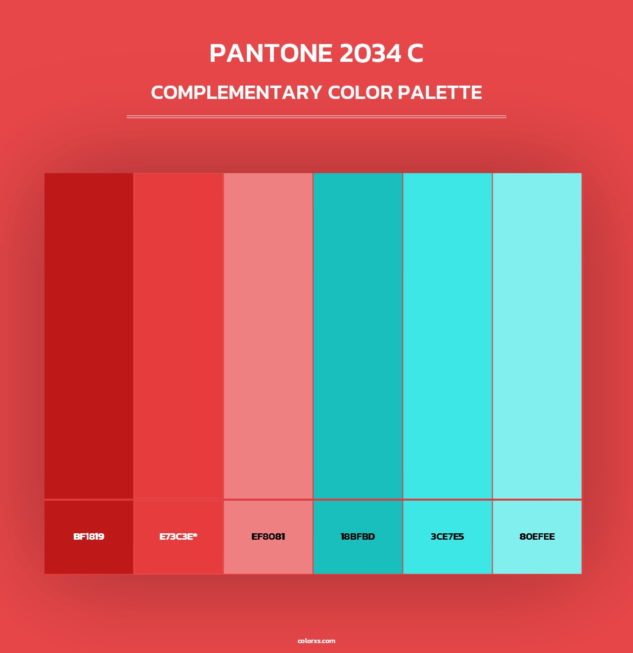 PANTONE 2034 C - Complementary Color Palette