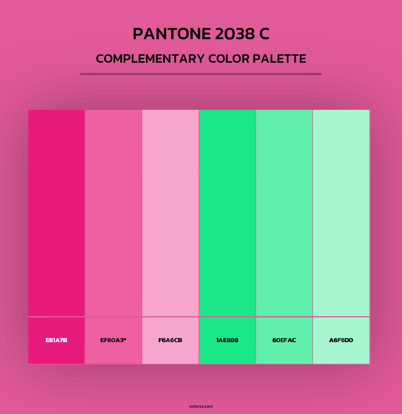 PANTONE 2038 C - Complementary Color Palette