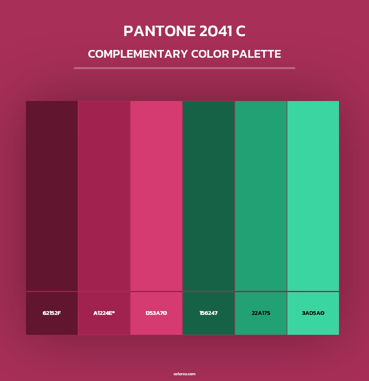 PANTONE 2041 C - Complementary Color Palette
