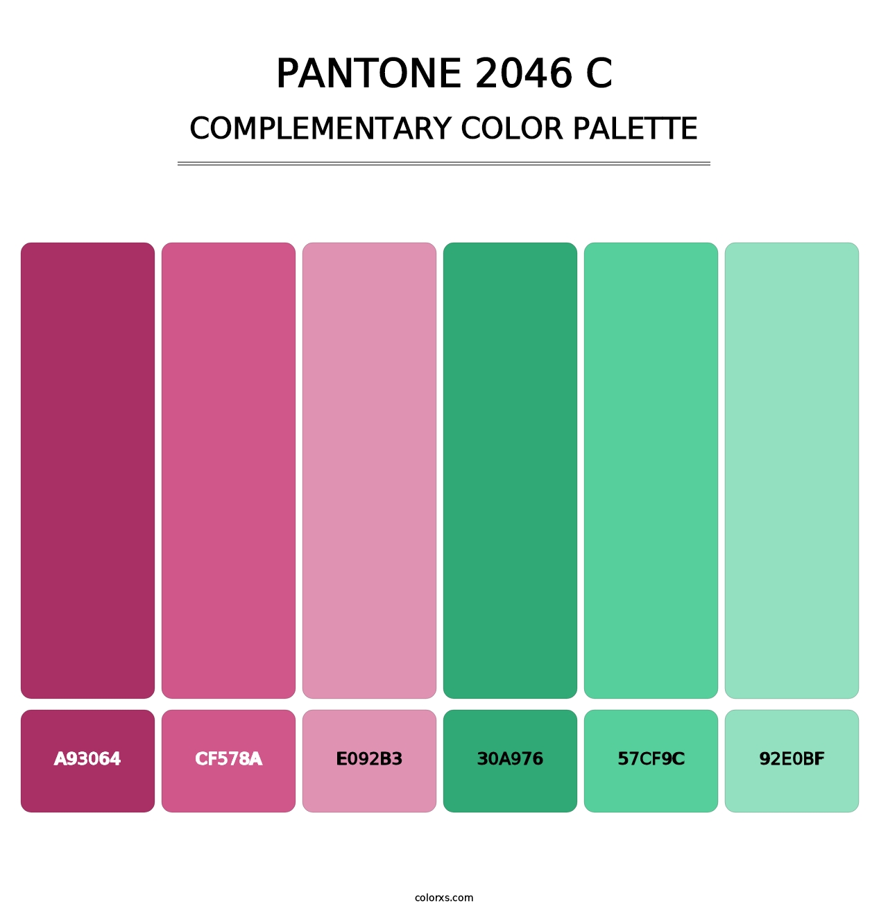 PANTONE 2046 C - Complementary Color Palette