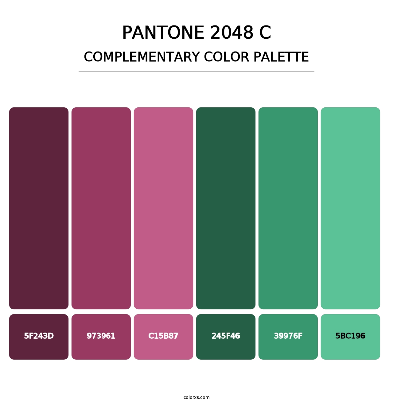 PANTONE 2048 C - Complementary Color Palette