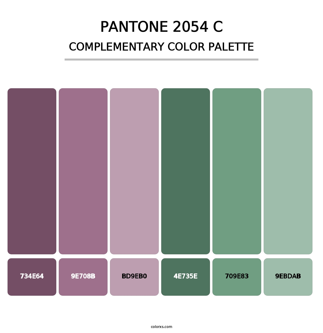 PANTONE 2054 C - Complementary Color Palette