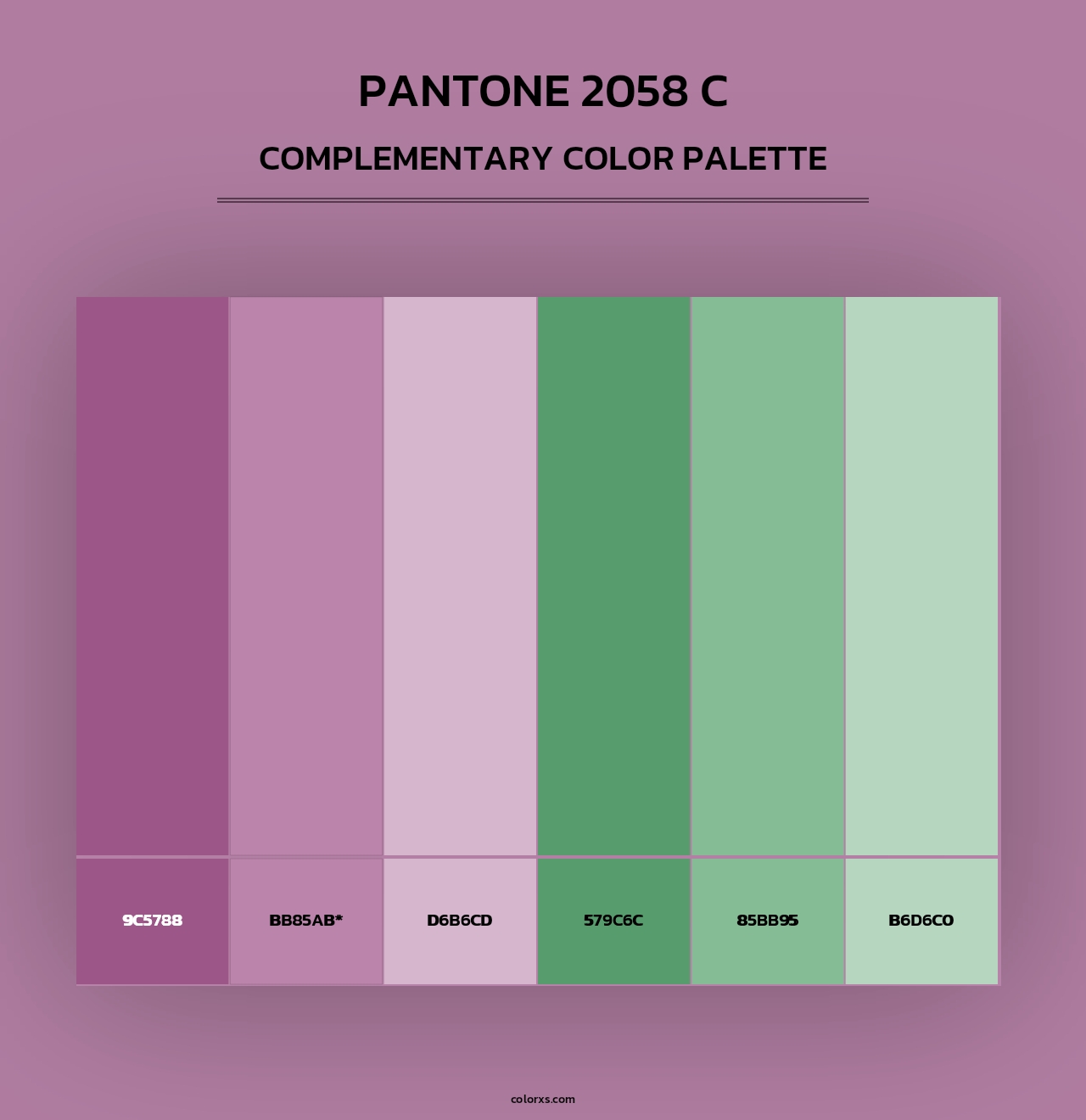 PANTONE 2058 C - Complementary Color Palette
