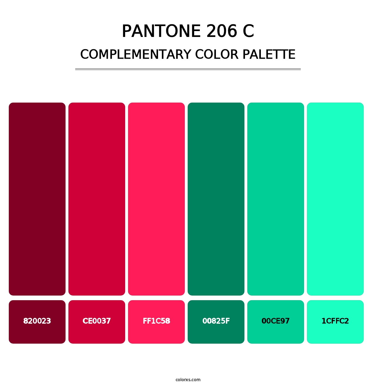 PANTONE 206 C - Complementary Color Palette