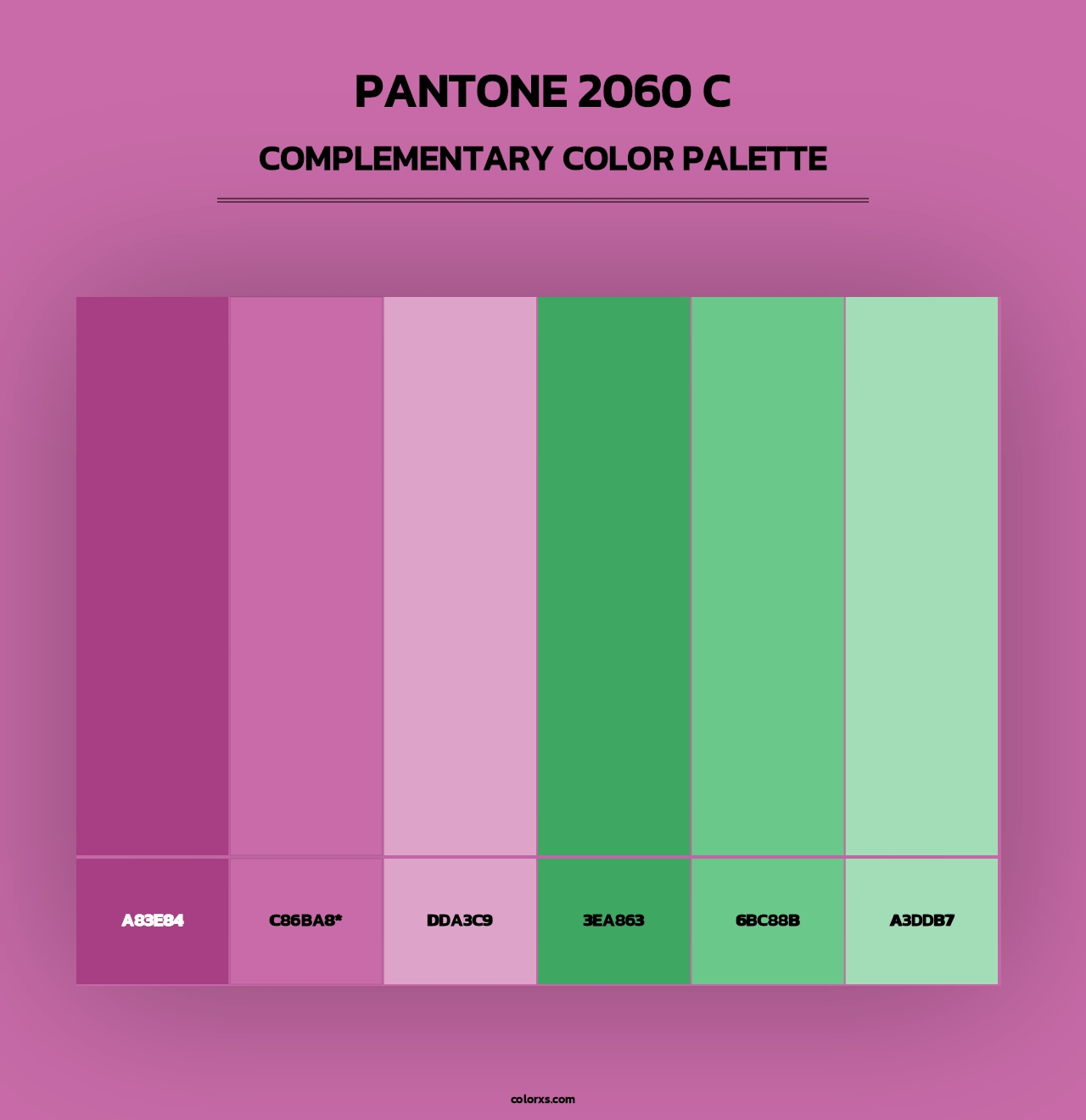 PANTONE 2060 C - Complementary Color Palette