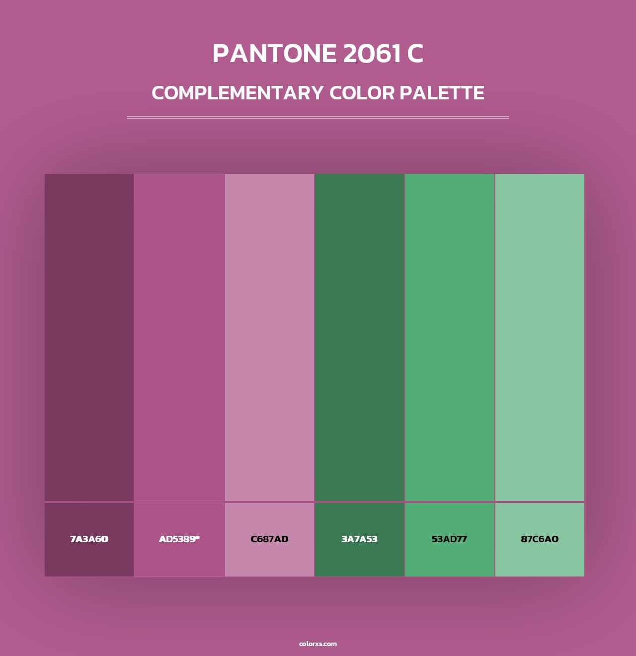 PANTONE 2061 C - Complementary Color Palette