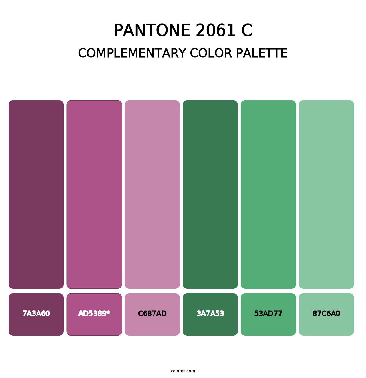 PANTONE 2061 C - Complementary Color Palette