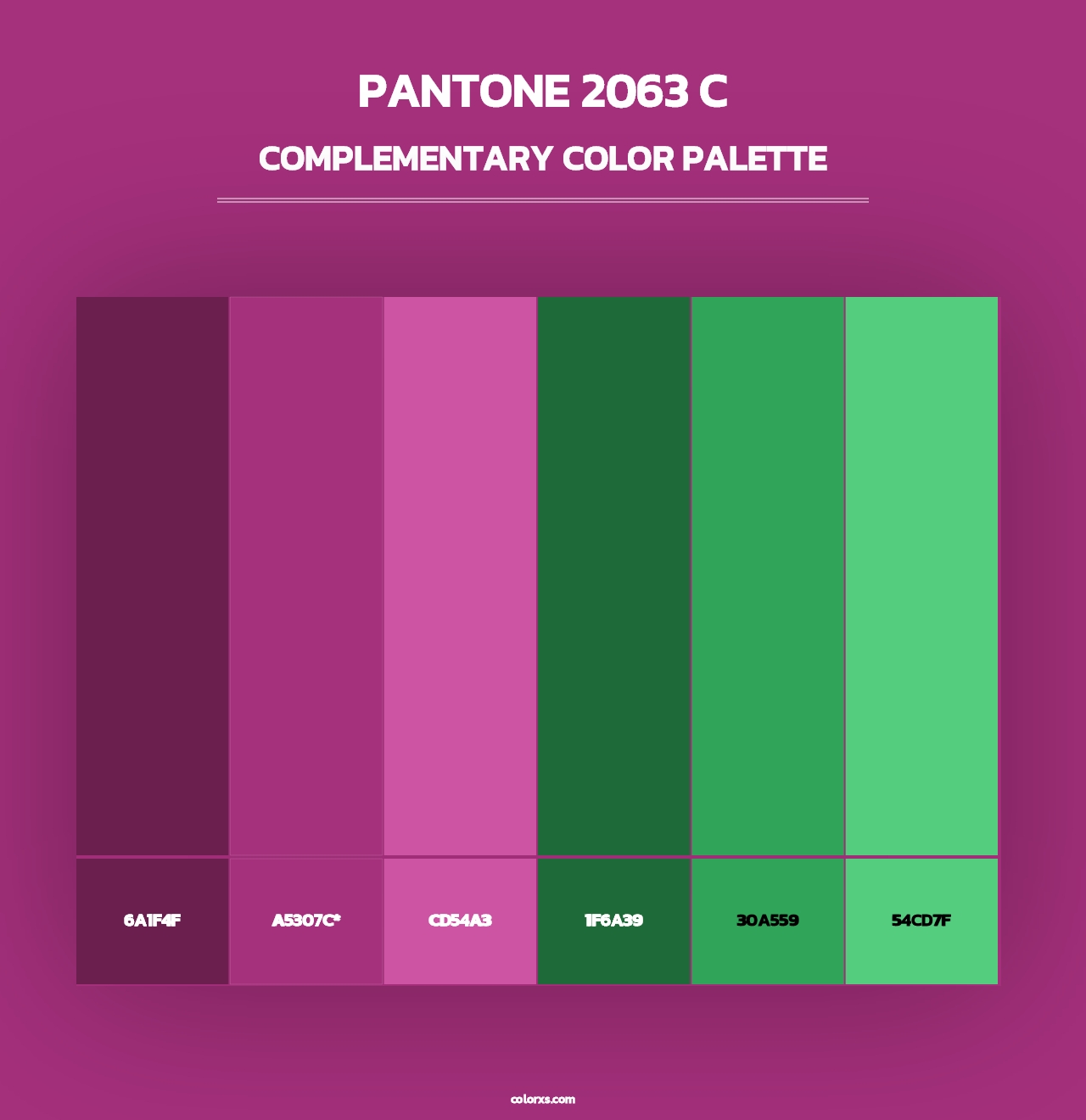 PANTONE 2063 C - Complementary Color Palette