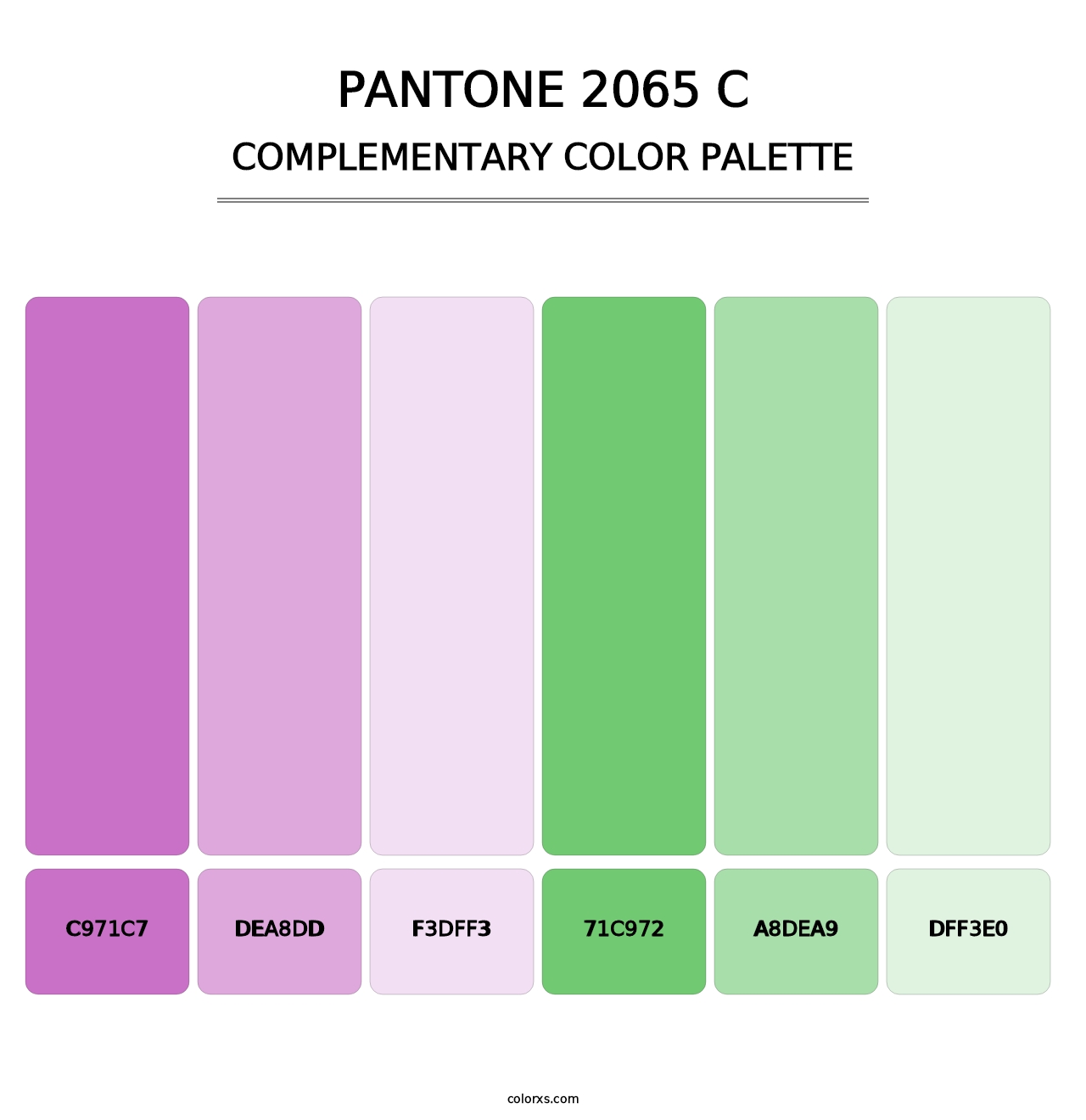 PANTONE 2065 C - Complementary Color Palette