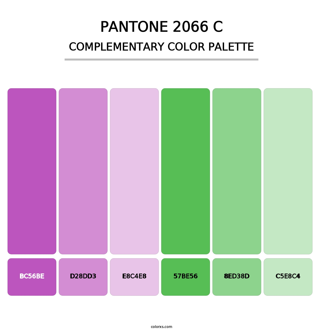 PANTONE 2066 C - Complementary Color Palette