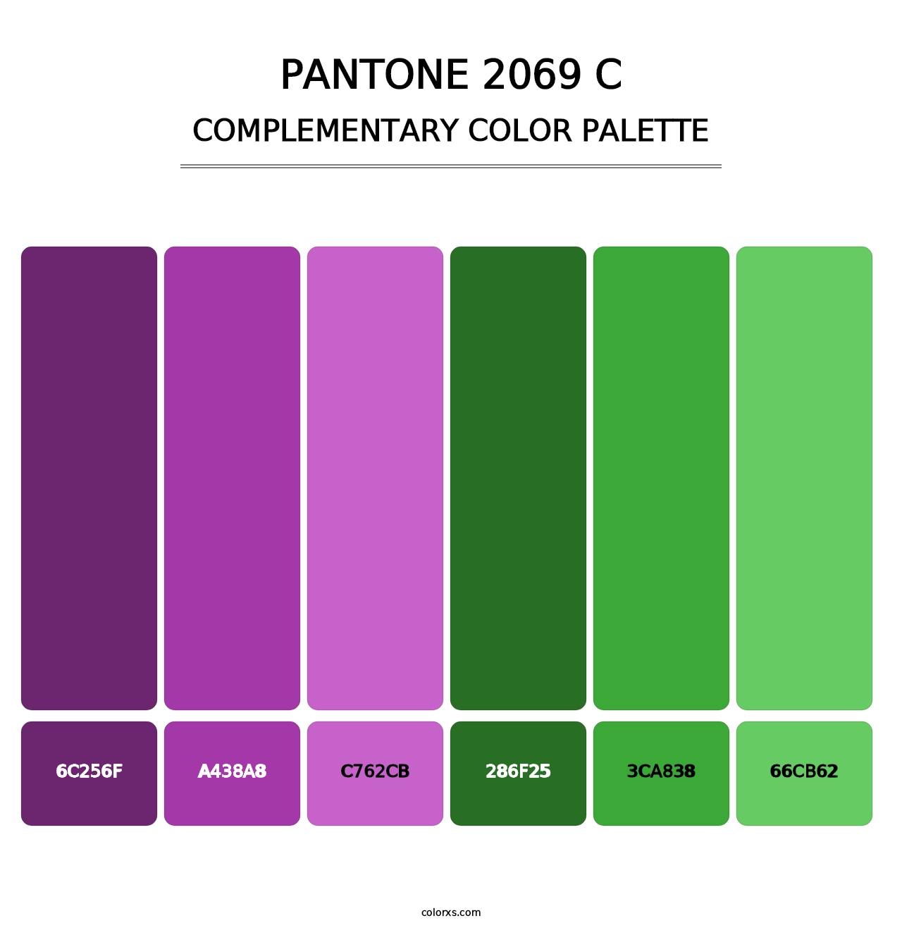 PANTONE 2069 C - Complementary Color Palette