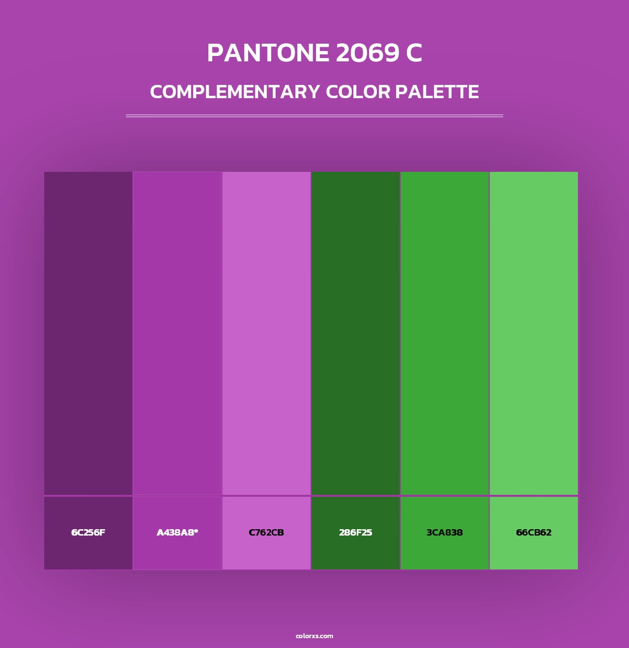 PANTONE 2069 C - Complementary Color Palette
