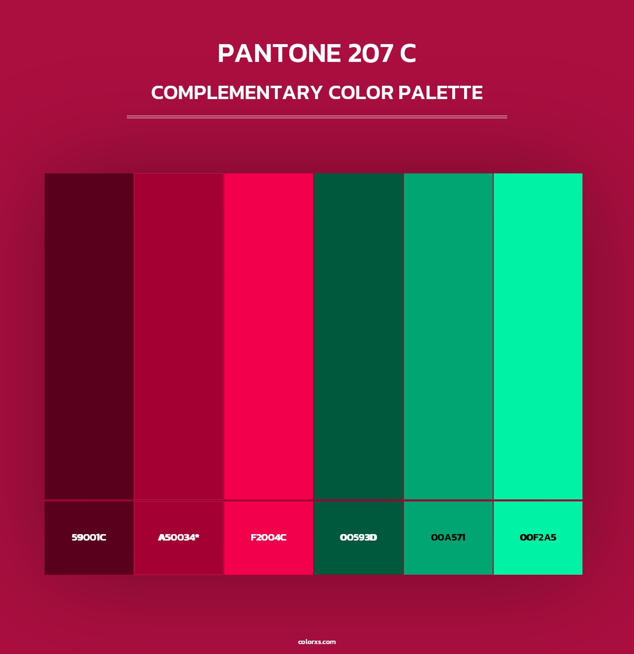 PANTONE 207 C - Complementary Color Palette