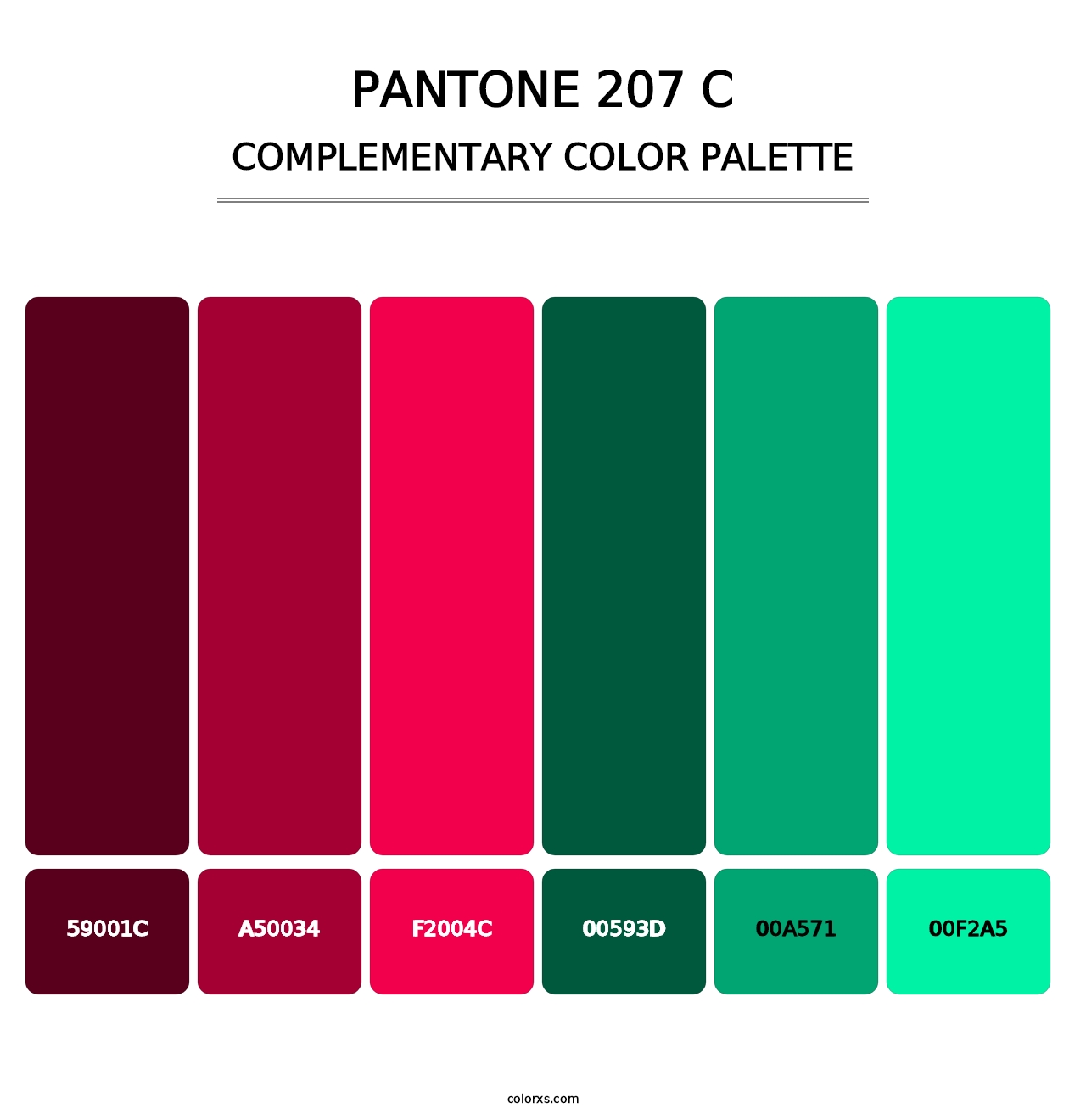 PANTONE 207 C - Complementary Color Palette