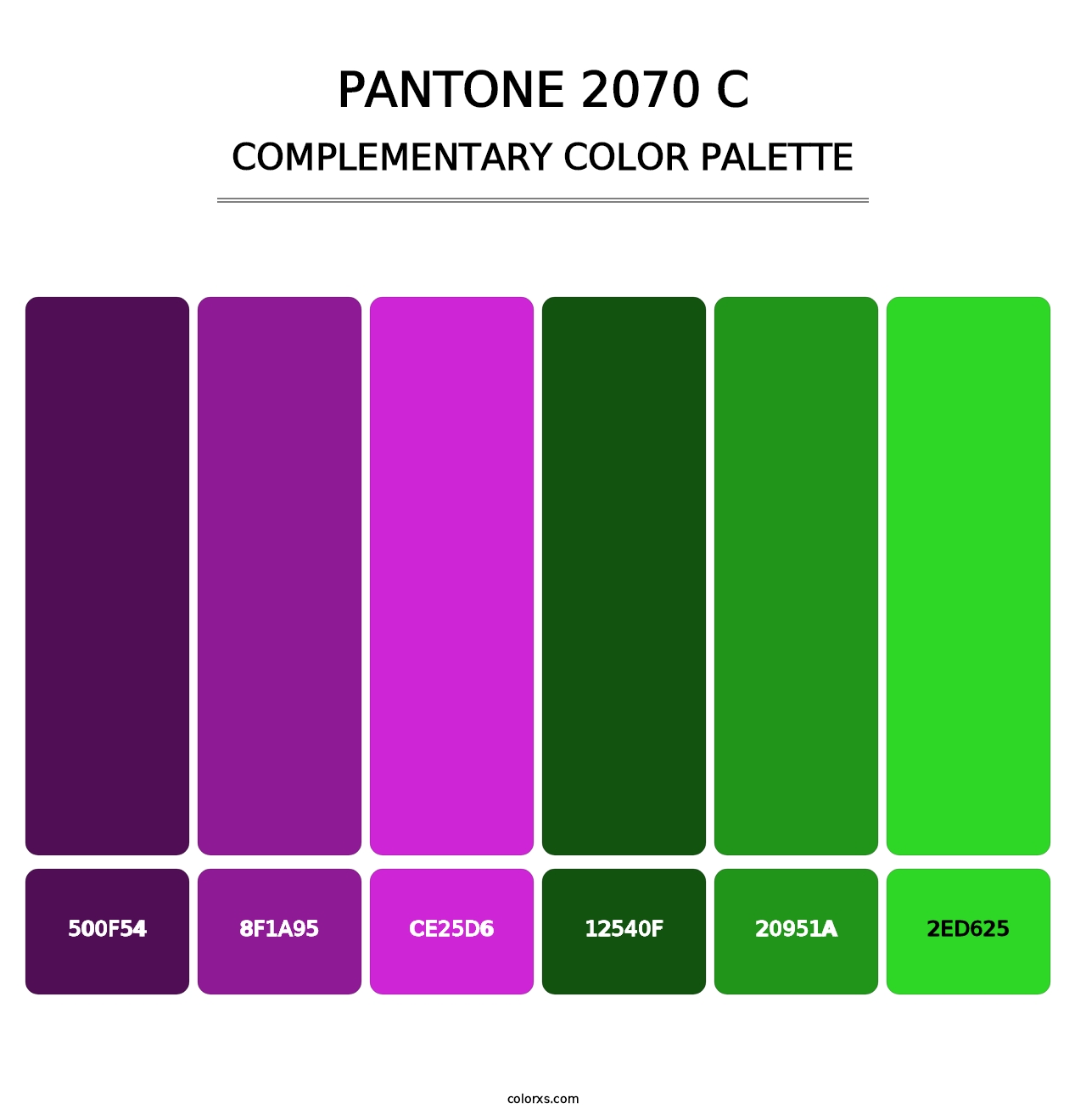 PANTONE 2070 C - Complementary Color Palette