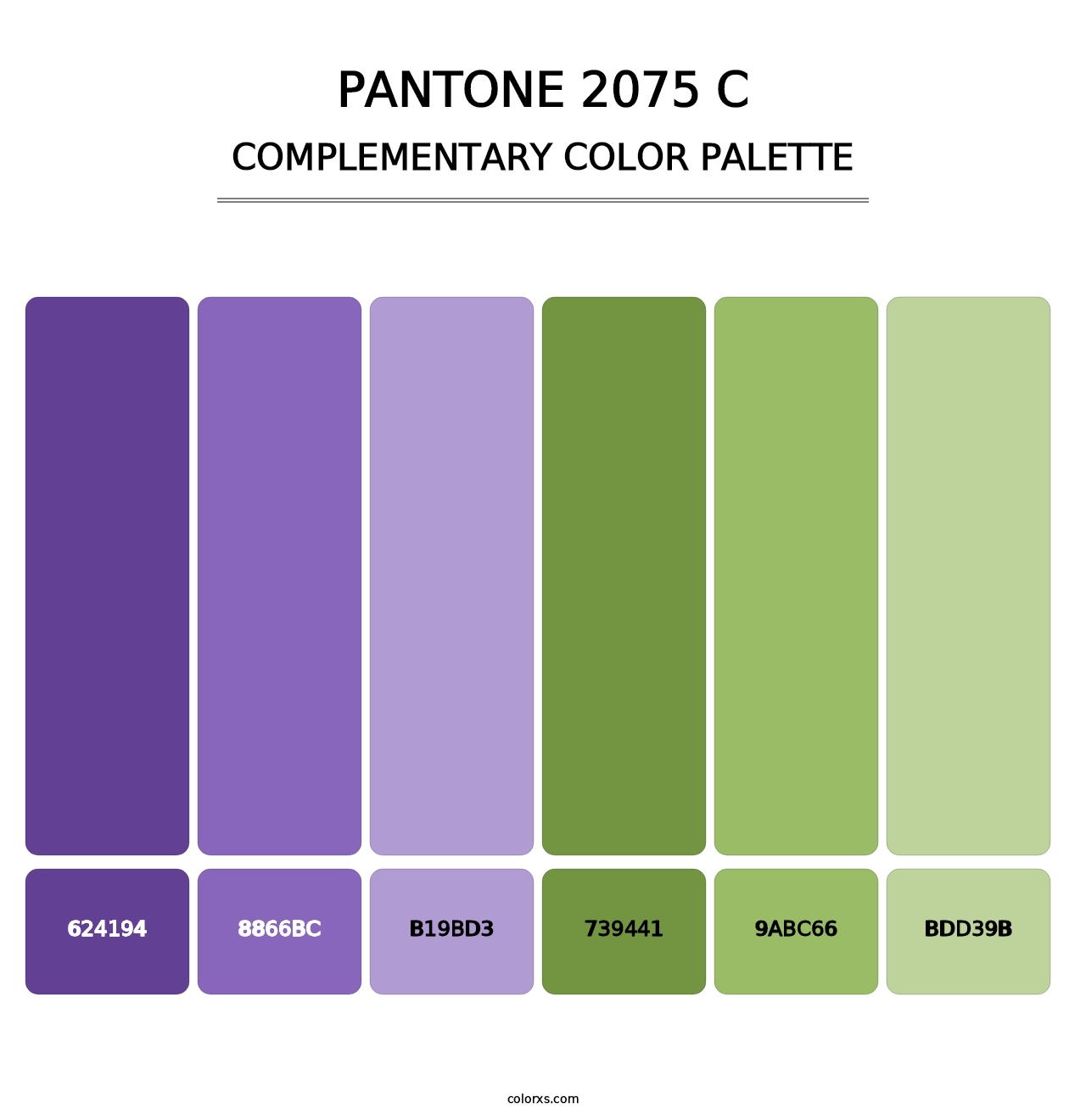 PANTONE 2075 C - Complementary Color Palette