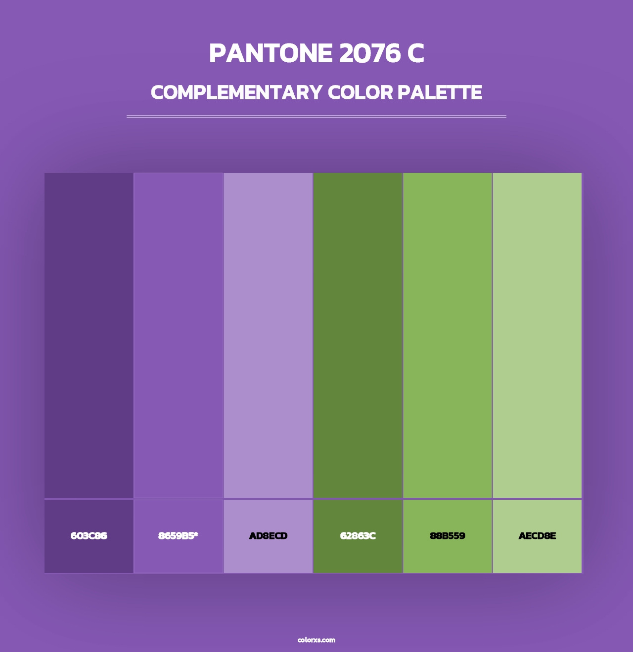 PANTONE 2076 C - Complementary Color Palette