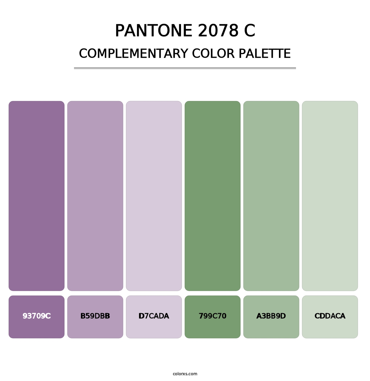 PANTONE 2078 C - Complementary Color Palette