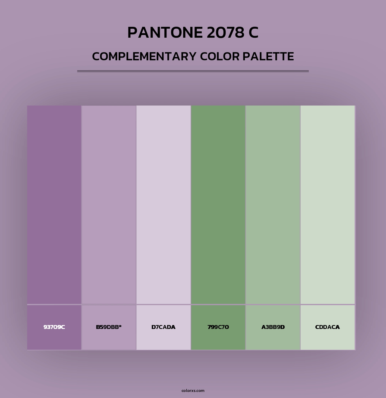 PANTONE 2078 C - Complementary Color Palette