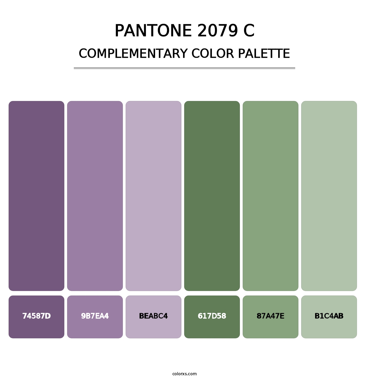 PANTONE 2079 C - Complementary Color Palette