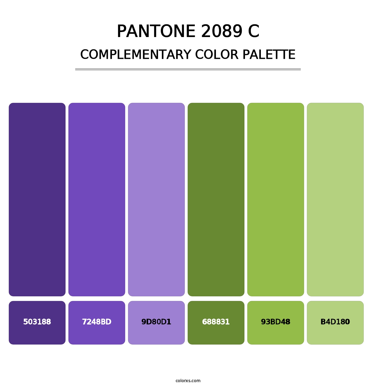 PANTONE 2089 C - Complementary Color Palette