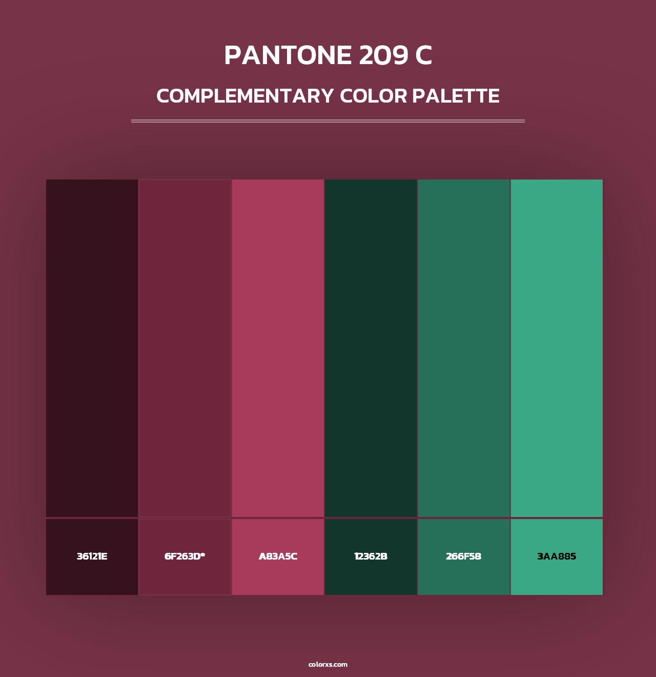 PANTONE 209 C - Complementary Color Palette