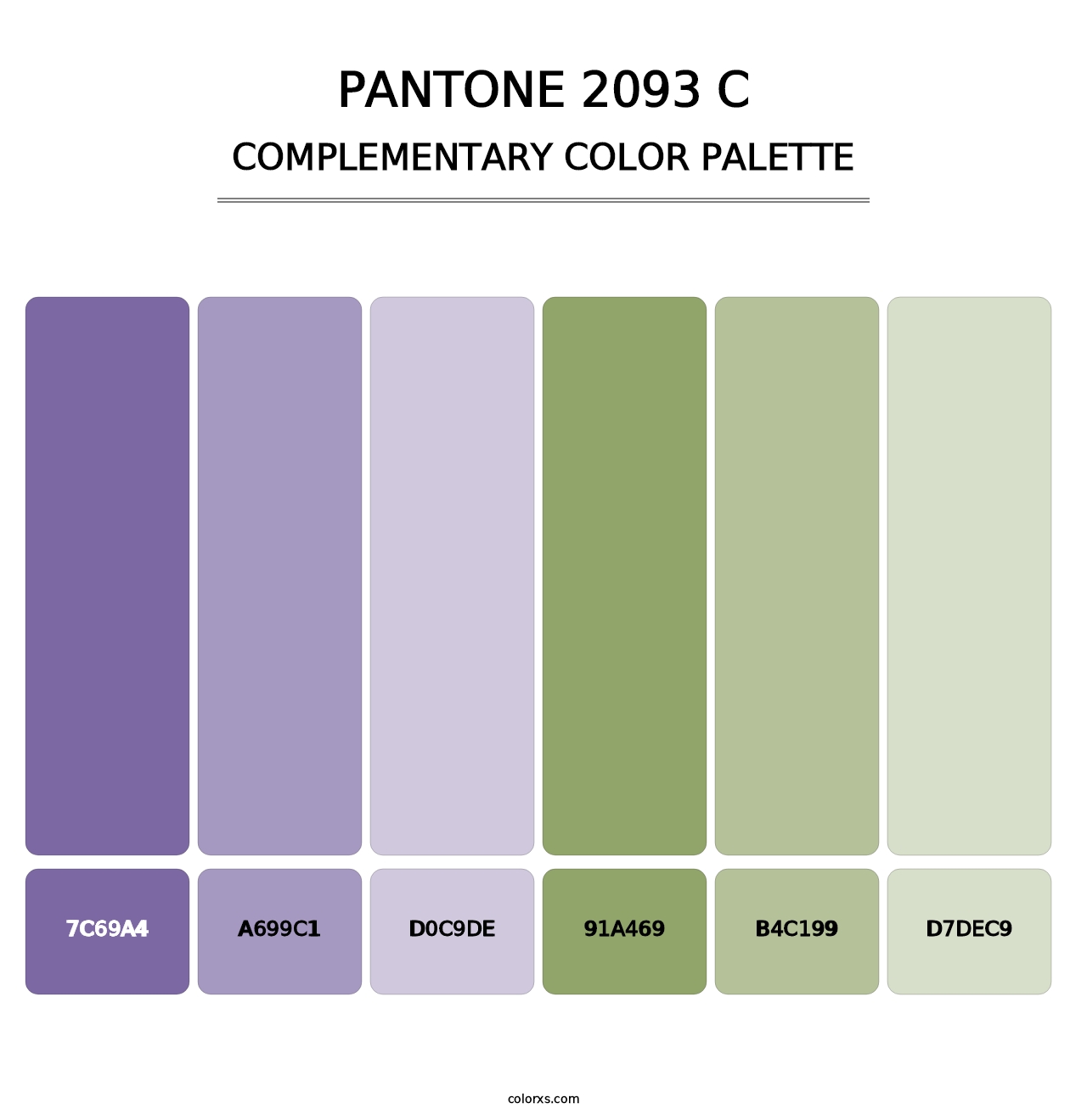 PANTONE 2093 C - Complementary Color Palette