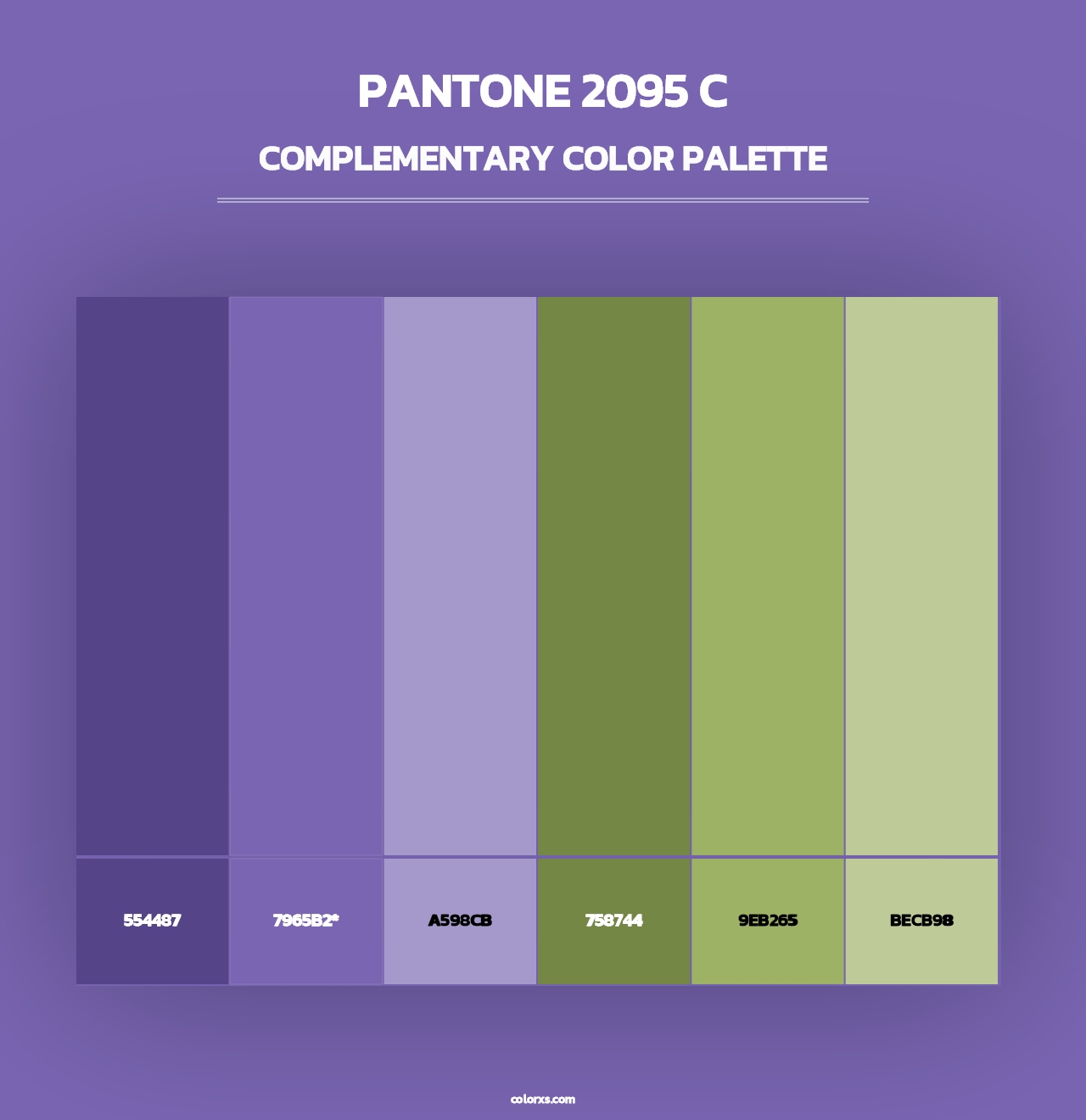 PANTONE 2095 C - Complementary Color Palette
