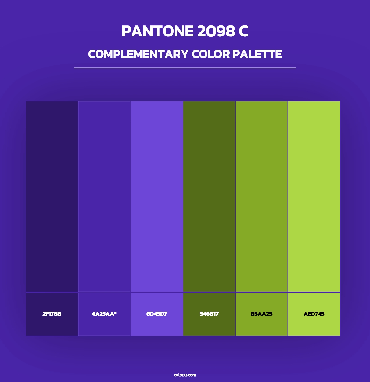 PANTONE 2098 C - Complementary Color Palette