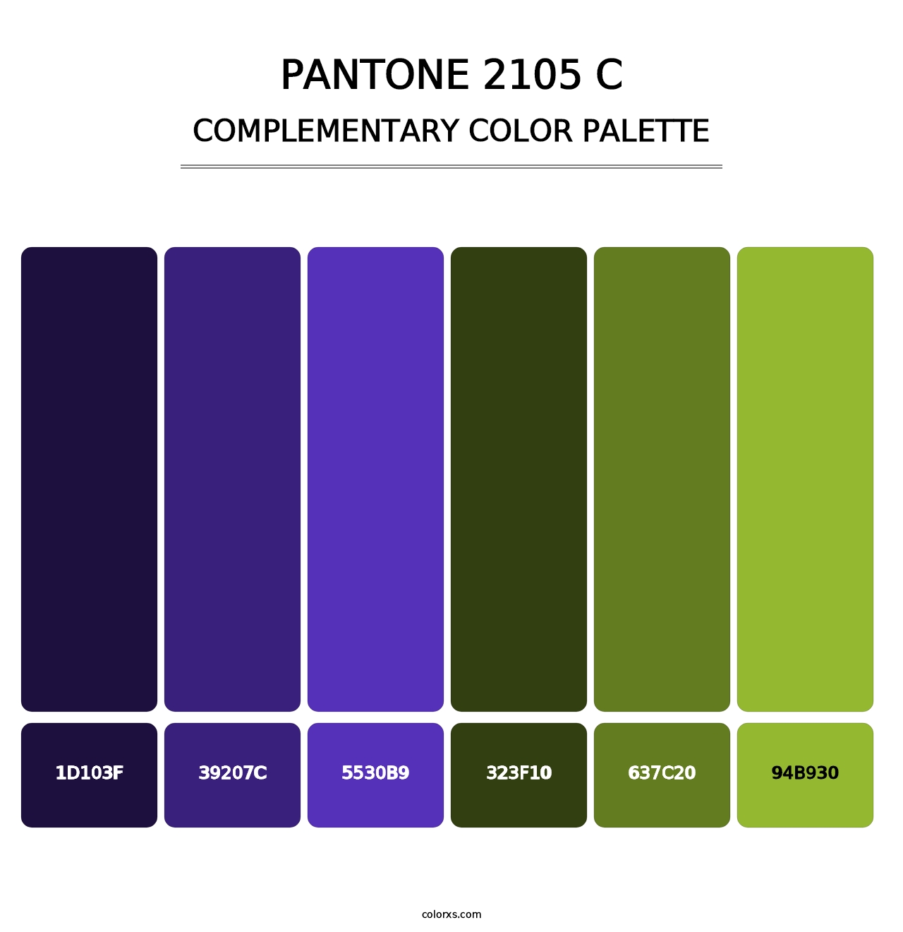 PANTONE 2105 C - Complementary Color Palette
