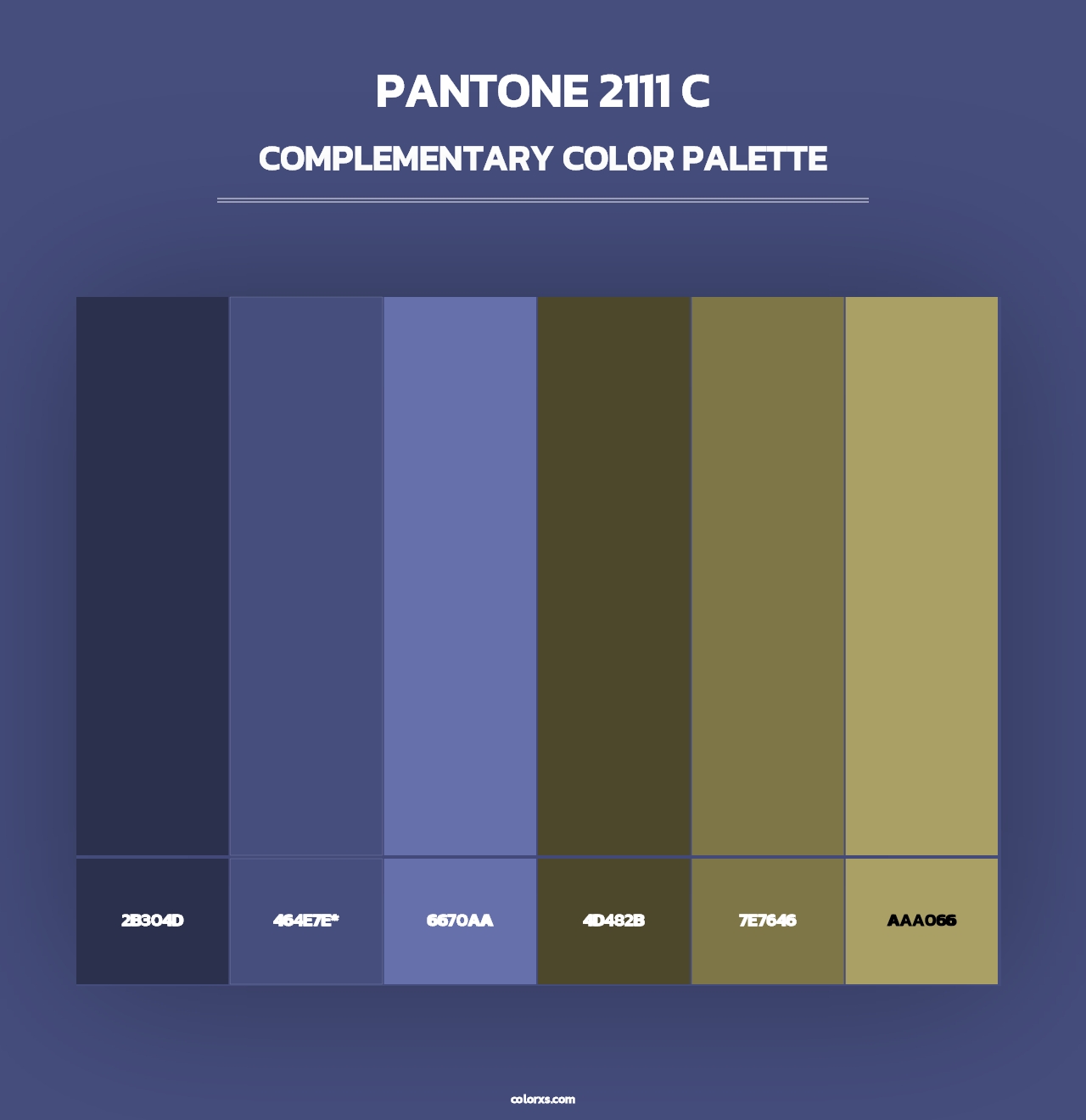 PANTONE 2111 C - Complementary Color Palette
