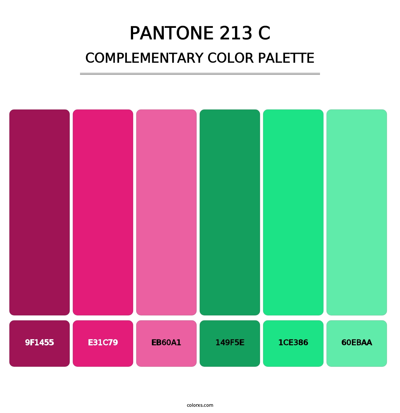 PANTONE 213 C - Complementary Color Palette